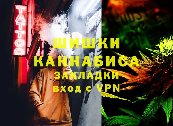 стафф Россошь