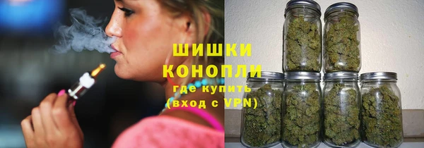 стафф Россошь