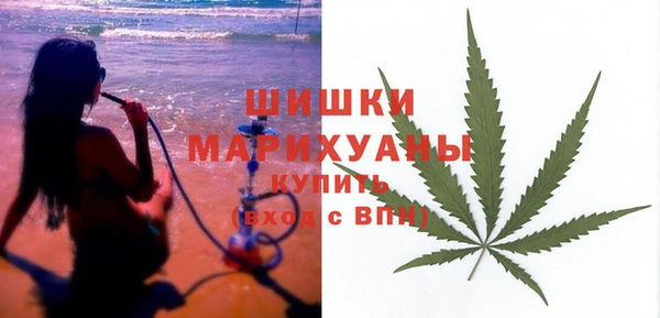 стафф Россошь