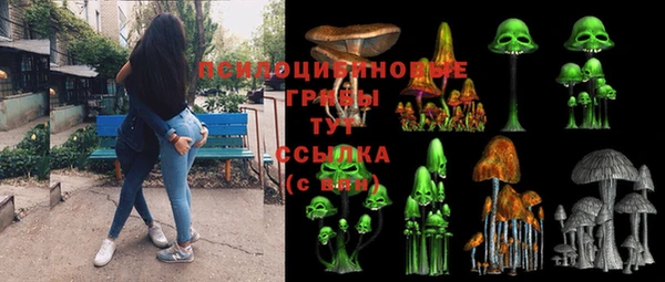 ешки Бугульма