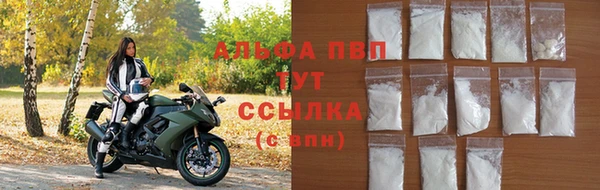 стафф Россошь