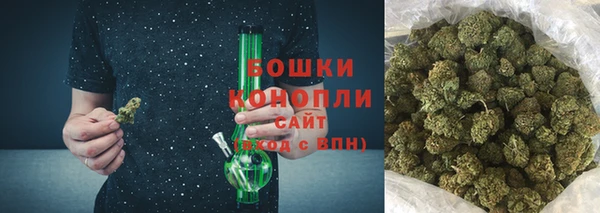 стафф Россошь
