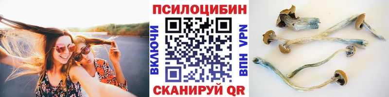 купить наркотики сайты Снежинск Галлюциногенные грибы GOLDEN TEACHER